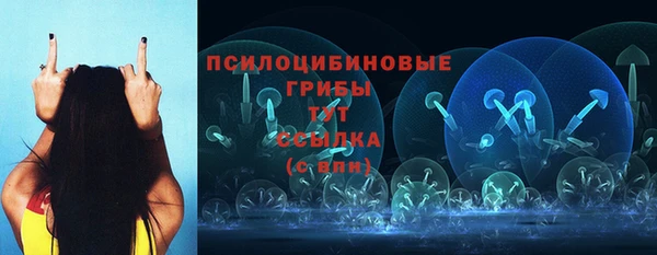 герыч Богородицк