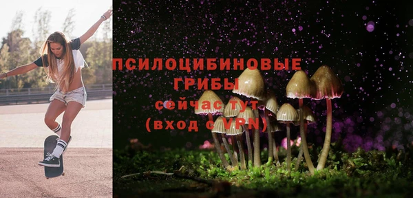 ALPHA PVP Богданович