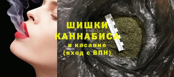твердый Богородск