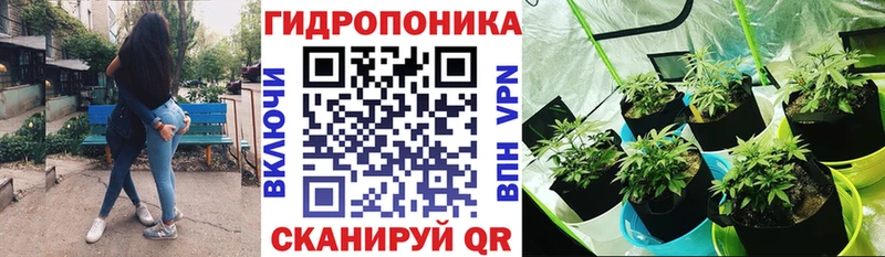 Каннабис план  Купить где  Куртамыш 
